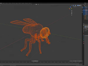 fly 3D Model