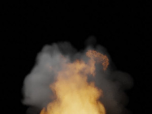 fire Modelo 3D