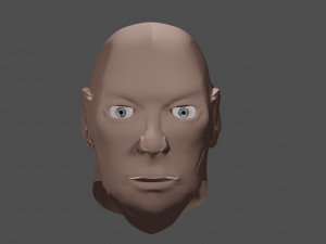 head 3Dモデル