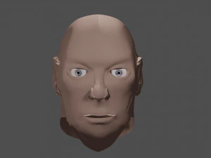 t&ecirc;te Modèle 3D