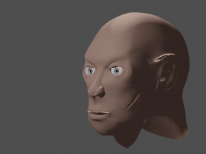 head 3D Model