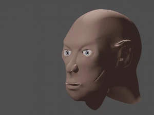 head 3D Model
