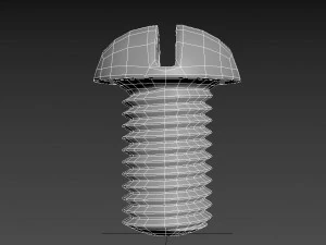 screw-10m 3D Model