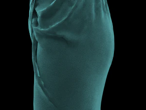 skirt 3D Model