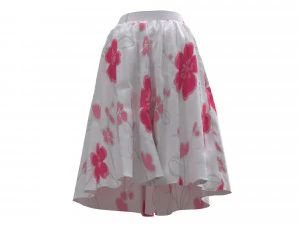 3d skirt 3D Model
