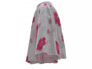 3d skirt 3D-Modell