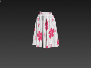 3d skirt 3D-Modell