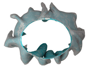star skirt Modelo 3D