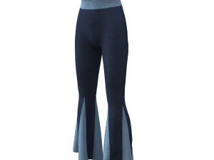 pants gored dance pants 3D Model