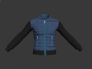 jacket men double breasted coat Modèle 3D