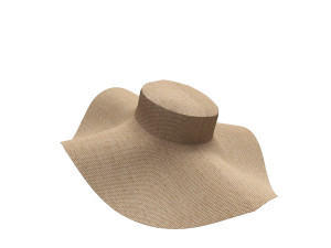 3d sun hat 3D 모델