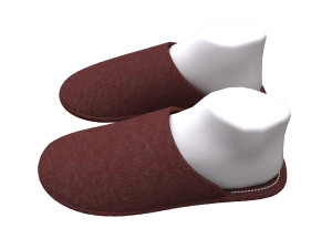 slippers home 3D Model