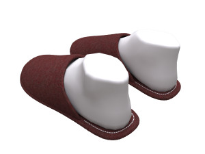 slippers home 3D Model