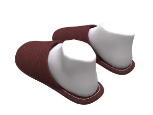 slippers home 3D Model