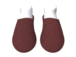 slippers home 3D Model