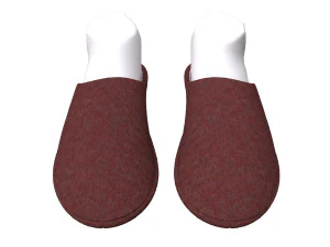 slippers home 3D Model