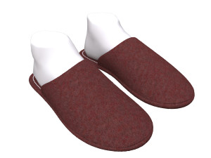 slippers home 3D Model