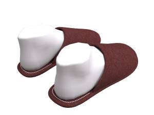 slippers home 3D Model