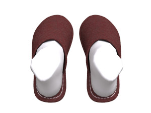 slippers home 3D Model