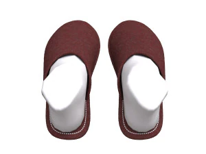 slippers home 3D Model
