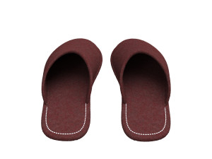 slippers home 3D Model