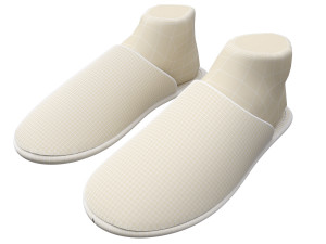 slippers home 3D Model