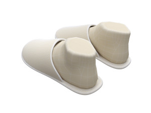 slippers home 3D Model