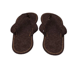 Sk&oacute;rzany pantofelek 3D Model 3D