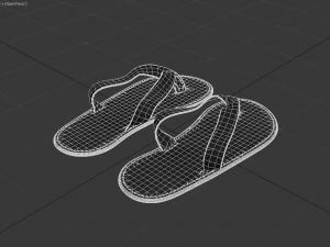 Sk&oacute;rzany pantofelek 3D Model 3D