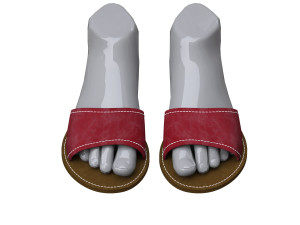 female slippers 3D मॉडल