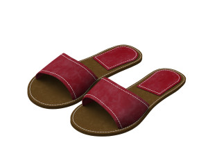 female slippers 3D मॉडल