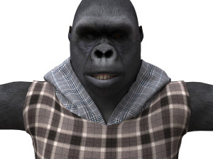 gorila 3d 3D मॉडल