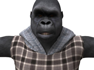 gorila 3d 3D मॉडल