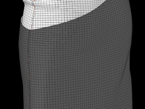 skirt 1 Modelo 3D