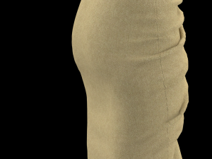 skirt8 3D 模型