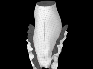 skirt 10 3D Model