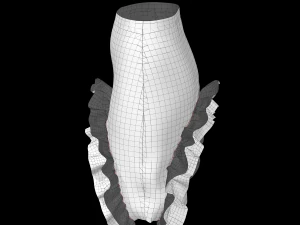 skirt 10 3D Model