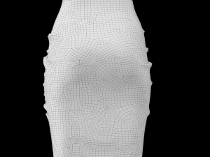 skirt 12 3D 模型