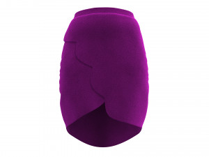 skirt 18 3D-Modell