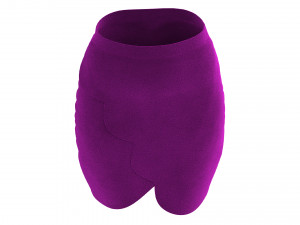 skirt 18 3D-Modell