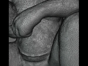 cyclops 3D Print Model