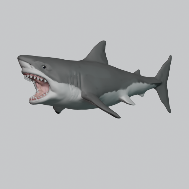 great white shark 3D Принт Модель .c4d .max .obj .3ds .fbx .stl .blend 