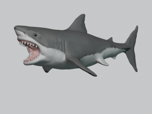 great white shark 3D-printmodel