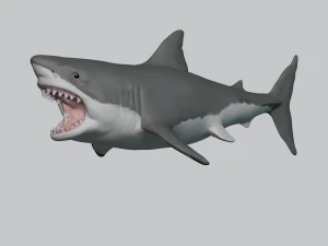 gran tibur&oacute;n blanco Modelo de impresión 3D