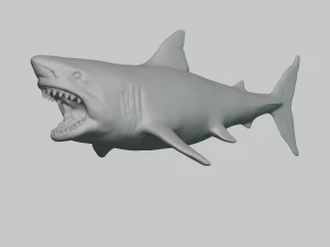 great white shark 3D Print Model