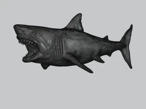 great white shark 3D Print Model