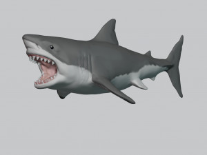 great white shark 3D Принт Модель