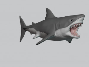 great white shark 3D Принт Модель