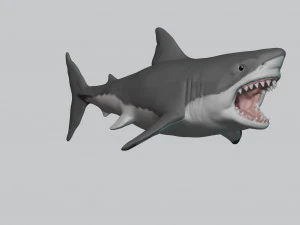 great white shark 3D Print Model