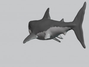 great white shark 3D Принт Модель